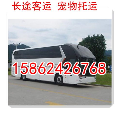 仙游汽车干洗价格多少